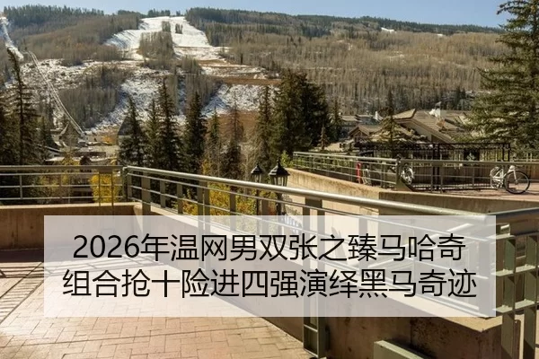 nian-wen-wang-nan-shuang-zhang-zhi-zhen-ma-ha-qi-zu-he-qiang-shi-xian-jin-si-qiang-yan-yi-hei-ma-qi-ji-2-705.jpg